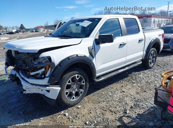 1FTFW2L59RKD95096 2024 FORD F150 White Przód lewy
