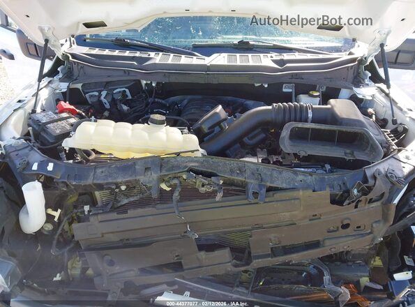 1FTFW2L59RKD95096 2024 FORD F150 White Widok z tyłu