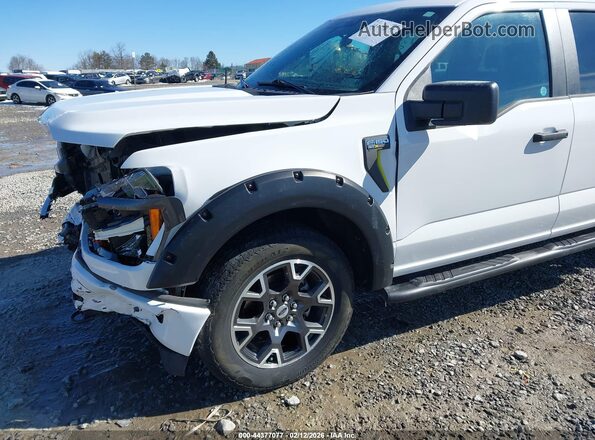 1FTFW2L59RKD95096 2024 FORD F150 White 