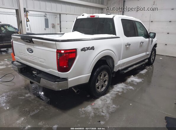 1FTFW3LD3RFA62706 2024 FORD F150 White უკანა მარჯვენა