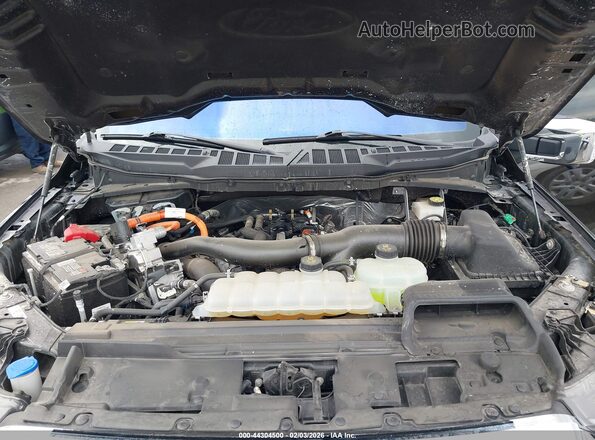 1FTFW5LD4RFB80324 2024 FORD F150 Black 
