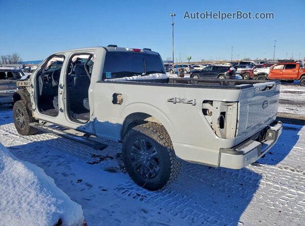 1FTFW7LD2RFB54803 2024 FORD F150 Gray Tył lewy
