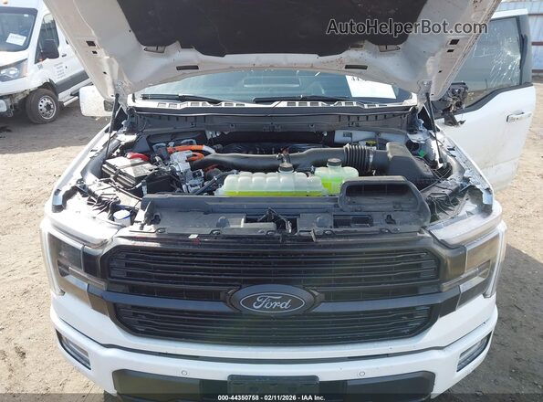 1FTFW7LD7SFB48825 2025 FORD F150 Белый Вид сзади