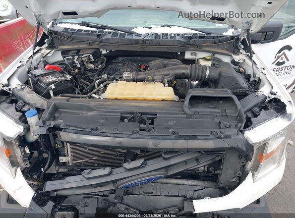 1FTMF1CB0MKD44702 2021 FORD F150 White Հետևի տեսք