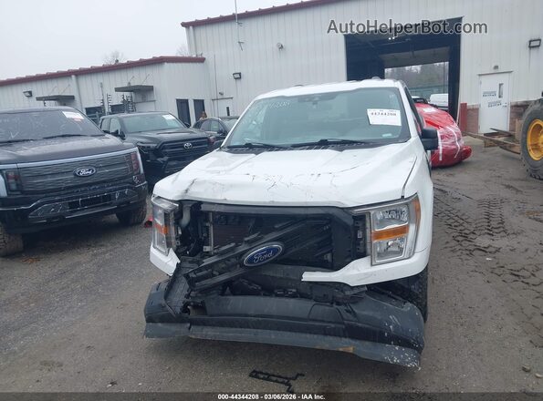 1FTMF1CB0MKD44702 2021 FORD F150 White Սալոնի հետևի տեսք