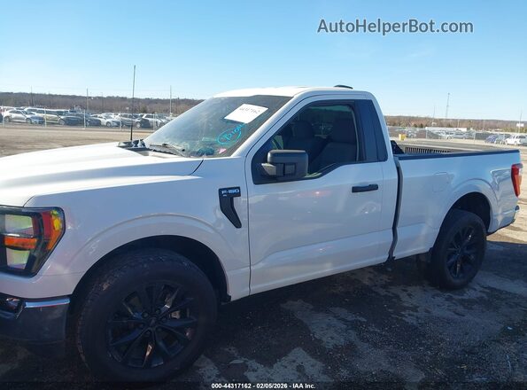 1FTMF1CP6PKF58805 2023 FORD F150 White Դիմացի տեսք