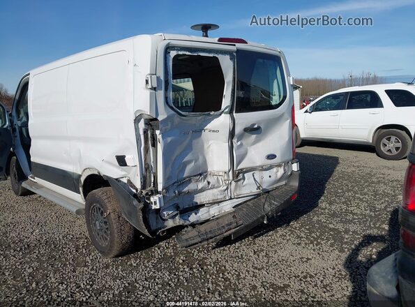 1FTYR1YM3KKB20274 2019 FORD TRANSIT-250 White Widok z przodu