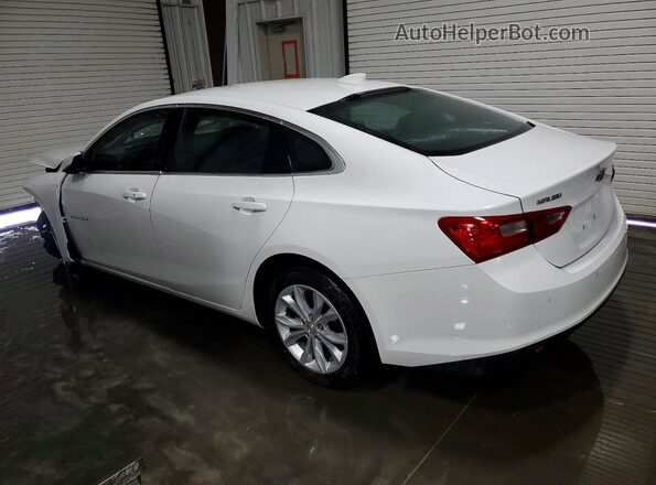 1G1ZD5ST8RF245146 2024 CHEVROLET MALIBU Белый Задняя левая четверть