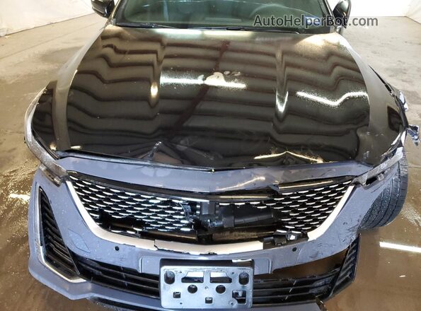 1G6DM5RK1P0156844 2023 CADILLAC CT5 Black Панорамний вид салону 360°