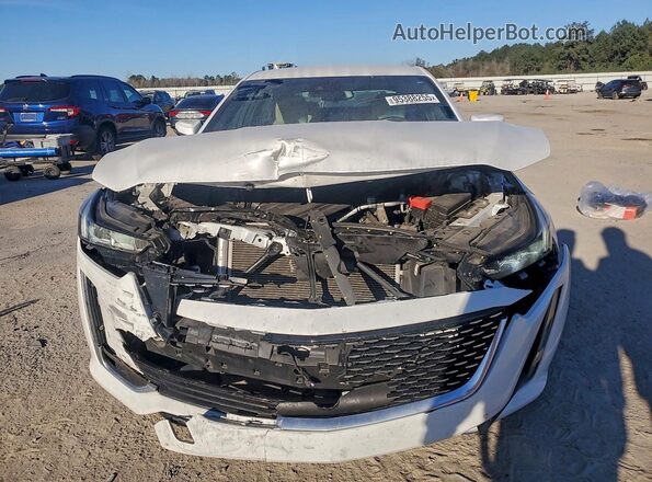1G6DM5RK9R0106549 2024 CADILLAC CT5 White 