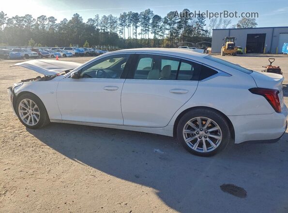 1G6DM5RK9R0106549 2024 CADILLAC CT5 White 