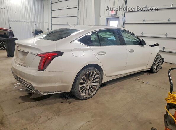 1G6DT5RW0N0127161 2022 CADILLAC CT5 Белый Задняя правая четверть
