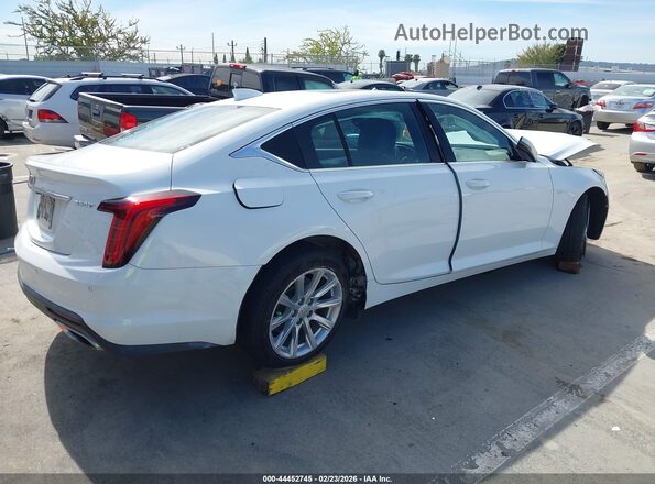 1G6DW5RK0P0142346 2023 CADILLAC CT5 White Հետևի աջ