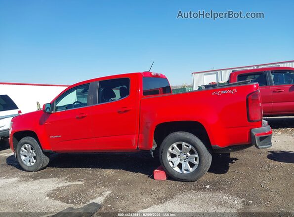 1GCGTCEN5K1312937 2019 CHEVROLET COLORADO Red 
