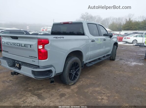 1GCPDBEKXRZ261105 2024 CHEVROLET SILVERADO Gray Tył prawy
