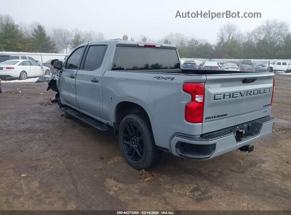 1GCPDBEKXRZ261105 2024 CHEVROLET SILVERADO Gray Tył lewy