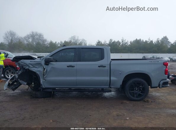 1GCPDBEKXRZ261105 2024 CHEVROLET SILVERADO Gray Widok wnętrza 360 stopni