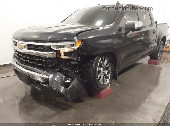 1GCPDDEK3RZ284012 2024 CHEVROLET SILVERADO Blue Front view