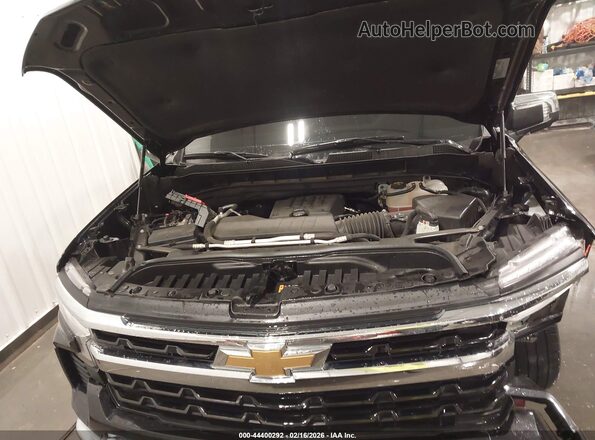 1GCPDDEK3RZ284012 2024 CHEVROLET SILVERADO Blue Rear view