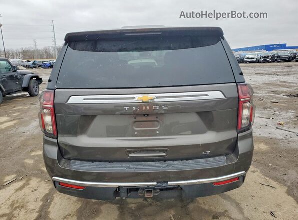 1GNSCNKD5MR356160 2021 CHEVROLET TAHOE Gray Вид ззаду