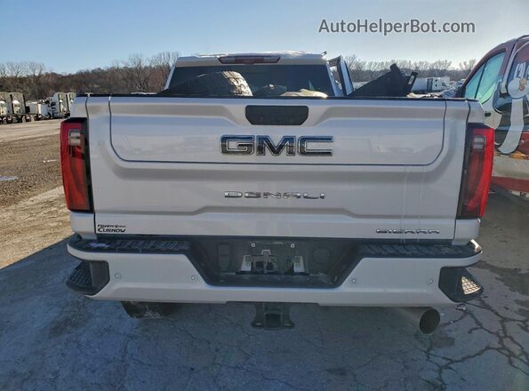 1GT4UXEY5SF201731 2025 GMC SIERRA Белый Вид сзади