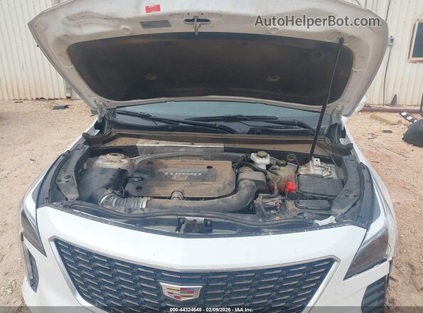 1GYAZAR44NF109646 2022 CADILLAC XT4 White Հետևի տեսք