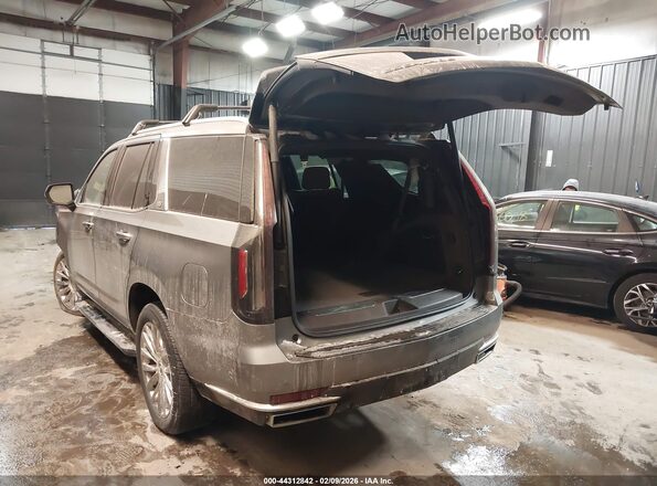 1GYS4BKLXPR163674 2023 CADILLAC ESCALADE Gray Tył lewy