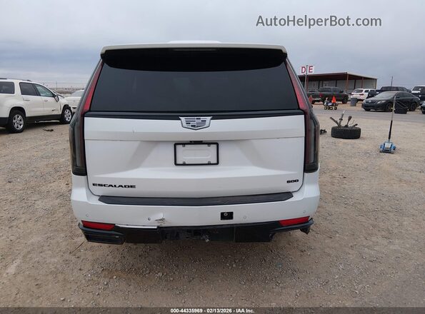 1GYS4FKL1PR561928 2023 CADILLAC ESCALADE Белый 