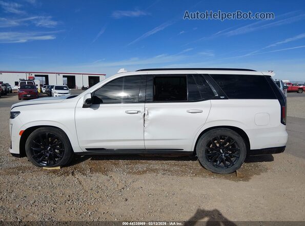 1GYS4FKL1PR561928 2023 CADILLAC ESCALADE Белый Вид задней части салона