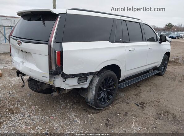 1GYS4RKL5RR398494 2024 CADILLAC ESCALADE White Tył prawy