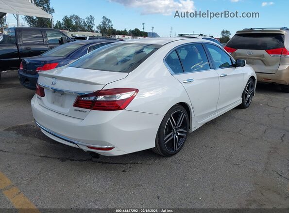 1HGCR2F56GA066396 2016 HONDA ACCORD White 