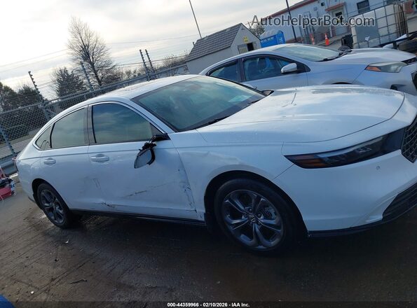1HGCY2F64RA076732 2024 HONDA ACCORD White უკანა სალონის ხედი