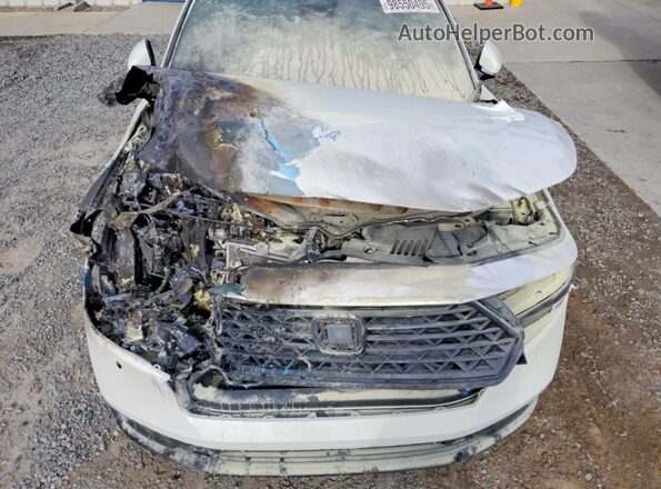1HGCY2F81RA058965 2024 HONDA ACCORD White Widok wnętrza z tyłu