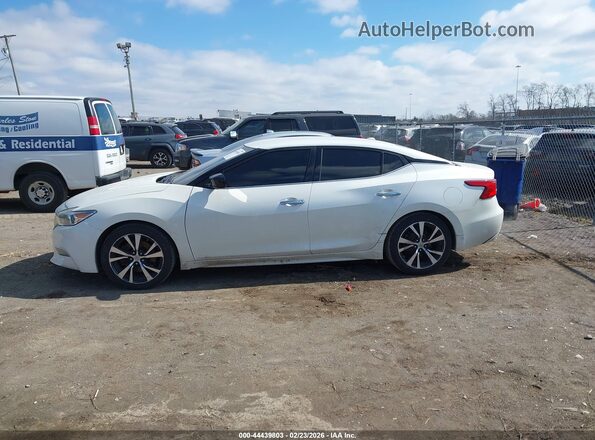 1N4AA6AP6GC423275 2016 NISSAN MAXIMA White 