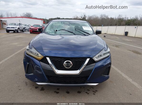 1N4AA6AV1KC361579 2019 NISSAN MAXIMA Синий 