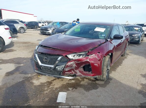 1N4AA6AV5KC376456 2019 NISSAN MAXIMA Red Vista frontal