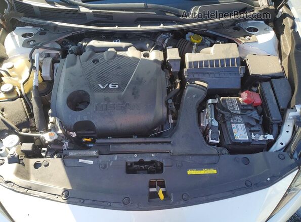 1N4AA6CV6PC513148 2023 NISSAN MAXIMA White 