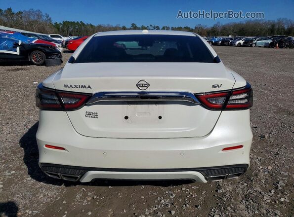 1N4AA6CV6PC513148 2023 NISSAN MAXIMA White 