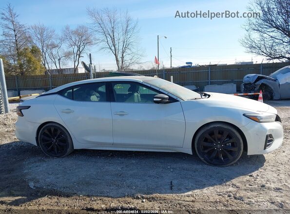 1N4AA6EV1PC503706 2023 NISSAN MAXIMA SR White 