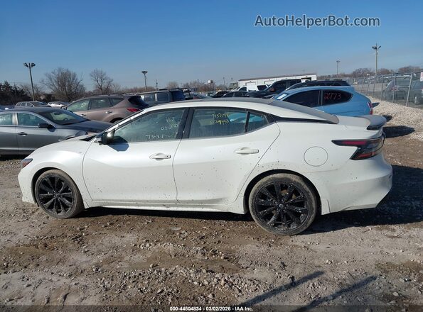 1N4AA6EV1PC503706 2023 NISSAN MAXIMA SR White 