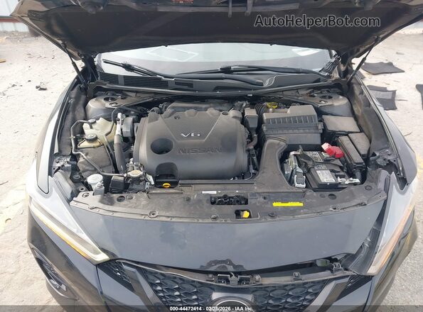 1N4AA6EV9PC501704 2023 NISSAN MAXIMA SR Black Widok z tyłu