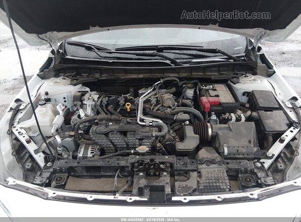 1N4BL4DV4SN304618 2025 NISSAN ALTIMA White Widok z tyłu