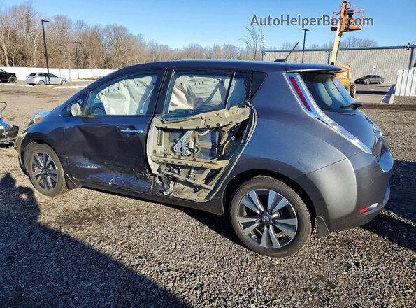 1N4BZ0CP1HC306664 2017 NISSAN LEAF Gray Հետևի ձախ