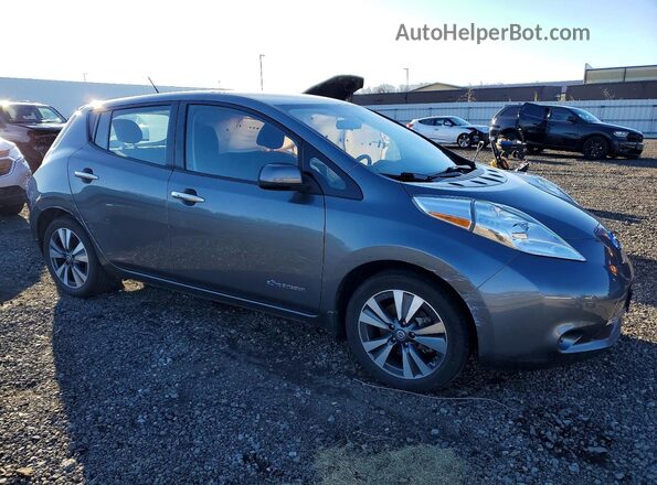 1N4BZ0CP1HC306664 2017 NISSAN LEAF Gray Առջևի աջ