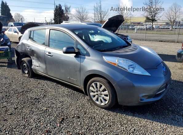 1N4BZ0CP5HC310409 2017 NISSAN LEAF Gray Առջևի աջ
