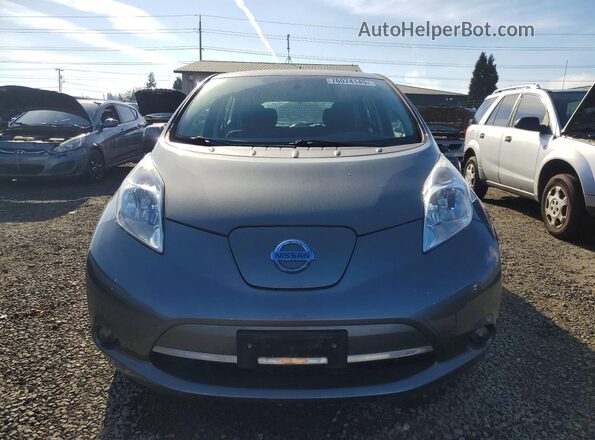 1N4BZ0CP5HC310409 2017 NISSAN LEAF Gray Դիմացի տեսք