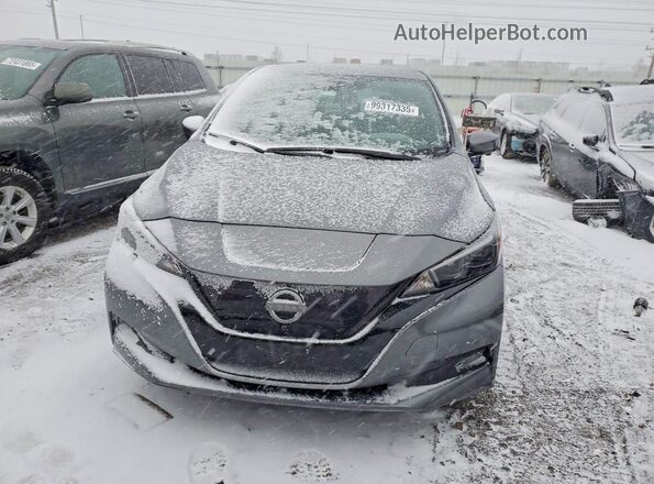 1N4CZ1CV6RC552801 2024 NISSAN LEAF Серый Вид спереди