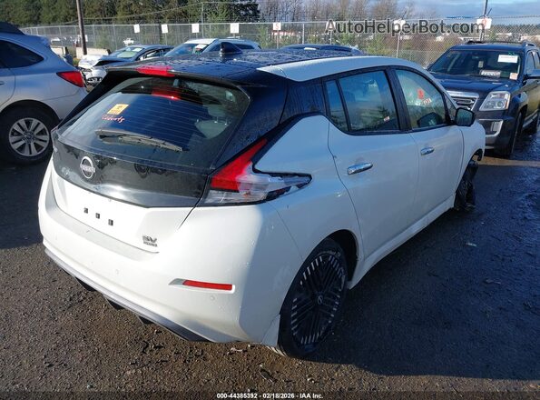1N4CZ1CV7SC566647 2025 NISSAN LEAF White უკანა მარჯვენა