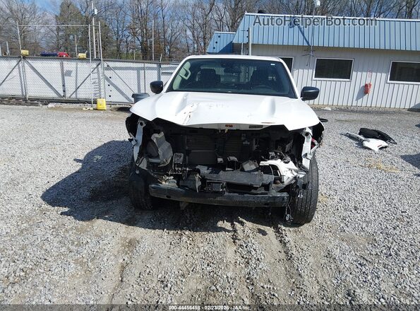 1N6ED1CL3RN639802 2024 NISSAN FRONTIER Белый Вид спереди