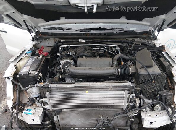 1N6ED1CL4RN646841 2024 NISSAN FRONTIER Белый Вид сзади